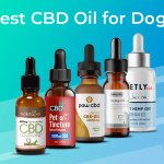 Get in touch with the good cbd oil
