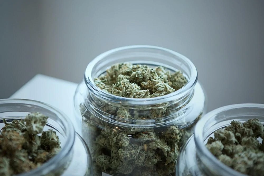 order weed online