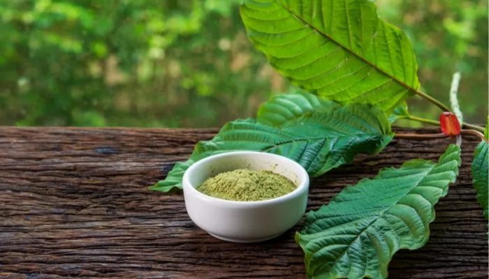 high quality kratom powder