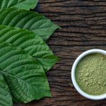 Unlocking Wellness: The Benefits of High-Quality Kratom Powder